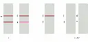 Ruminant Pregnancy Rapid Test Kit gent.webp