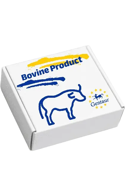ELISA  Bovine PROCR | Endothelial protein C receptor  