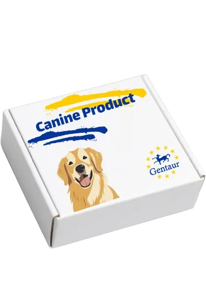 Canine symmetric dimethylarginine(SDMA)ELISA Kit - 48 Tests