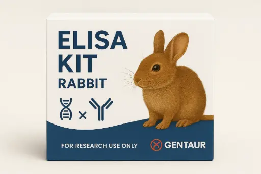 Rabbit ATP2A2 ELISA Kit