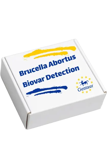 ELISA  Recombinant Brucella abortus Sulfoxide reductase heme-binding subunit YedZ(yedZ)
