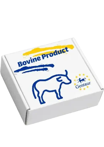 [E2219b] ELISA  Bovine SOD2 | Superoxide dismutase [Mn], mitochondrial  
