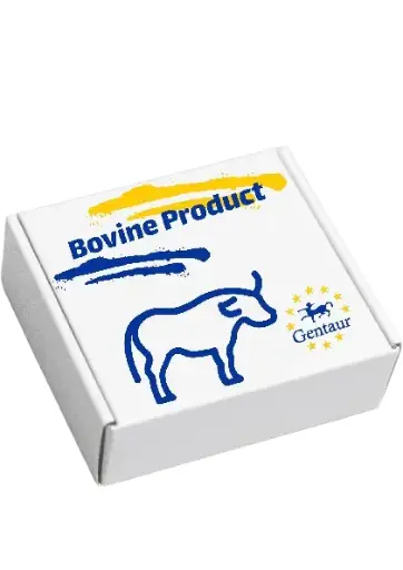 [E0929b] ELISA  Bovine RBP4 | Retinol-binding protein 4  
