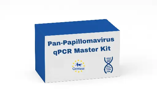 [R-0002] Pan-Papillomavirus qPCR Master Kit